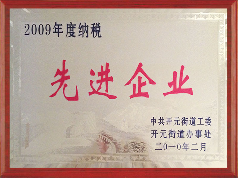 2009先進(jìn)企業(yè)